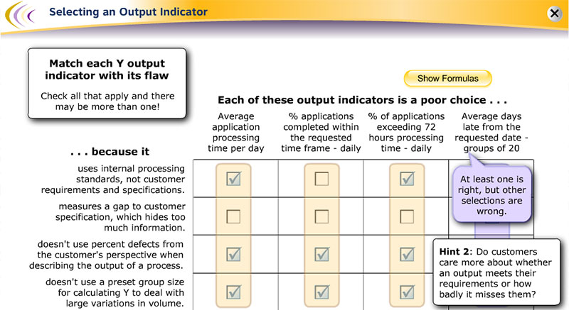 Choosing an Output Indicator for a Six Sigma Project Elearning Example
