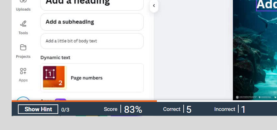 software simulation footer