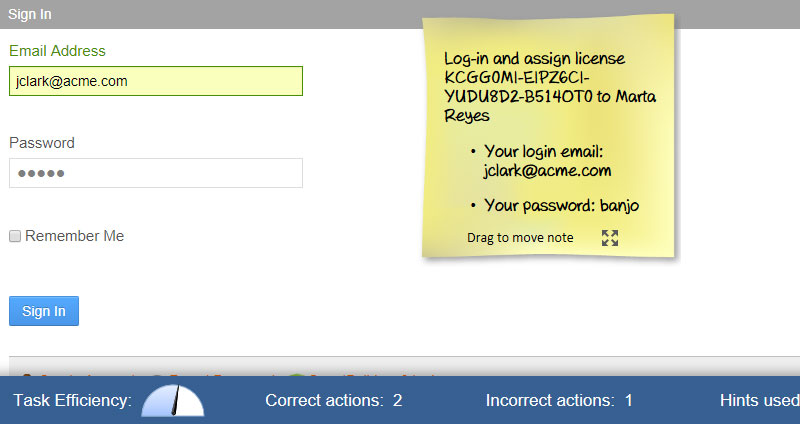 Software Simulations Elearning Example